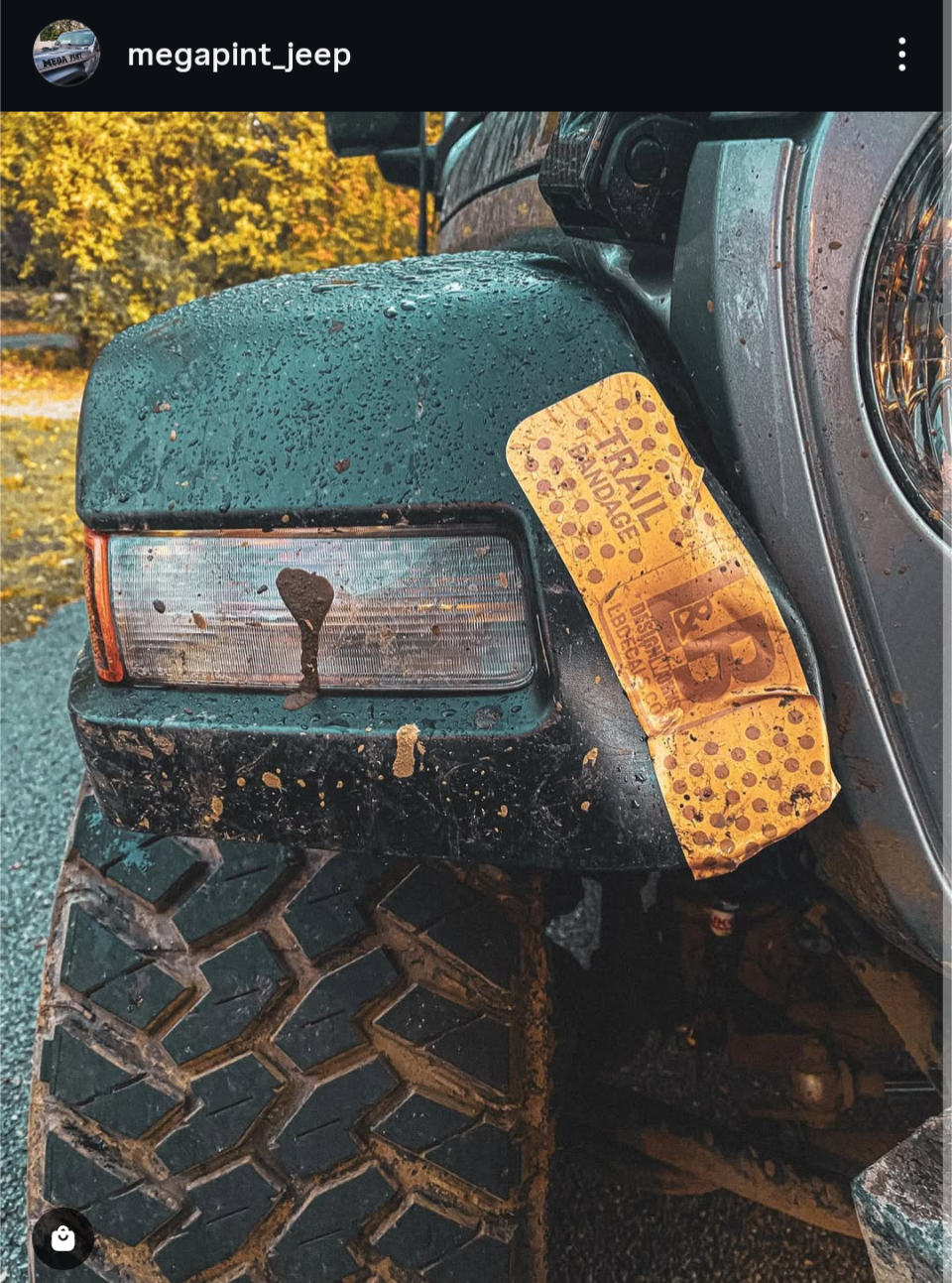 3 Pack- Trail Bandage