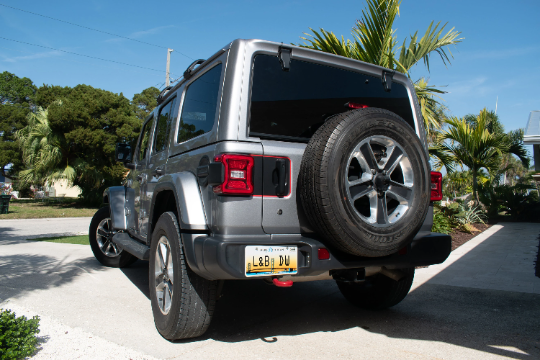 Rear Door Handle Red Line Blackout Decal- Fits Jeep Wrangler JL & JLU Decal